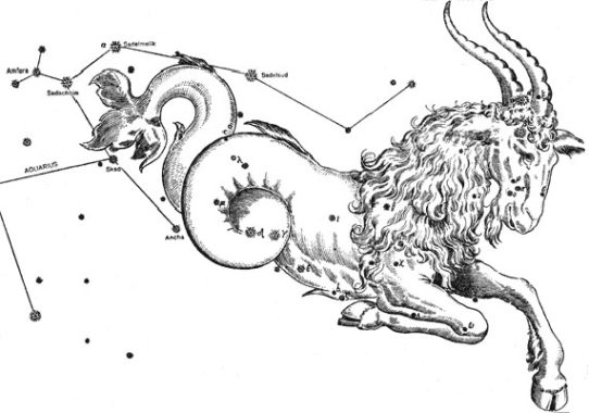 Stenbukken - Læs Stjernetegn & Horoskop. Stjernetegn Stenbuk | NetSpirit