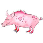 Chinese astrology pig